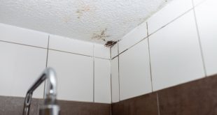 Schimmel an der Decke im Badezimmer.