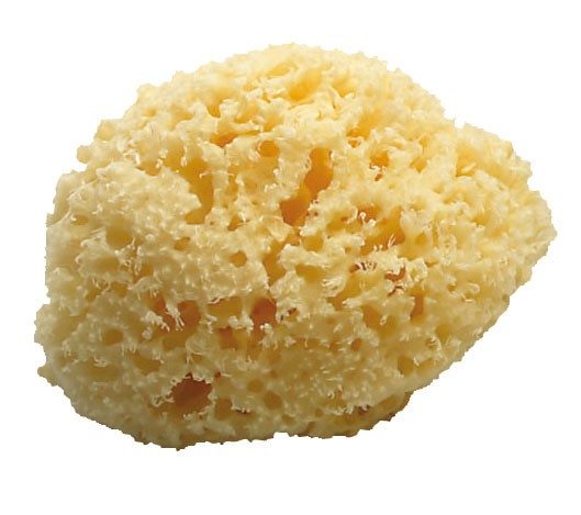 Koh-i-Noor Naturschwamm, Bad-Dusche, 9M,