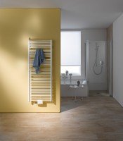 Kermi Geneo circle Kermi Geneo circle Badheizkörper 810x40x580mm