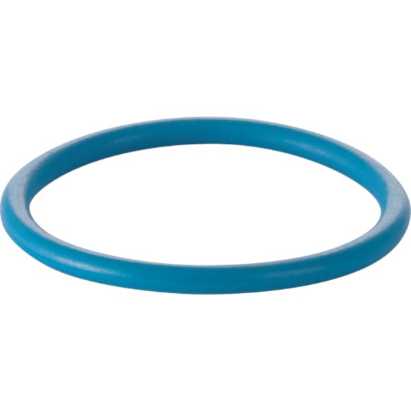 Geberit O-Ring für Duscharm zu AquaClean 8000 / 8000plus