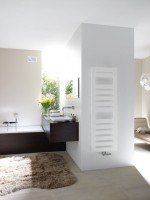Zehnder Design-Heizkörper Zehnder Design-Heizkörper Metropolitan Mixbetrieb