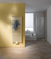 Kermi Geneo circle Kermi Geneo circle Badheizkörper 1190x40x730mm