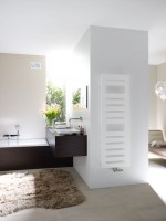 Zehnder Design-Heizkörper Zehnder Design-Heizkörper Metropolitan elektrisch
