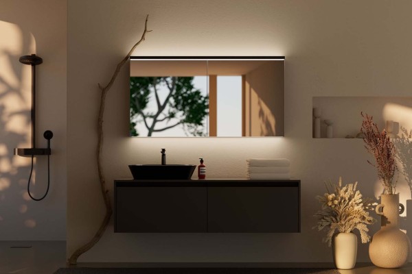 Schneider Spiegelschrank ADVANCED Line Ultimate TW 60/2/TW/L, silbereloxiert, 188.063.02.50