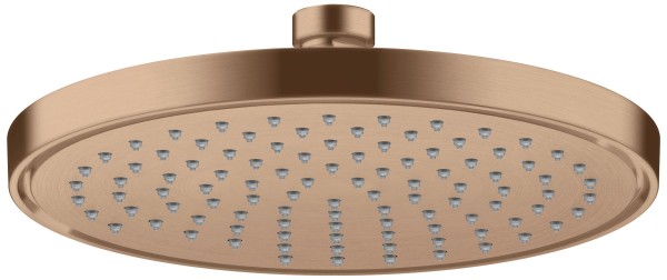 Hansgrohe Kopfbrause 220 1jet EcoSmart