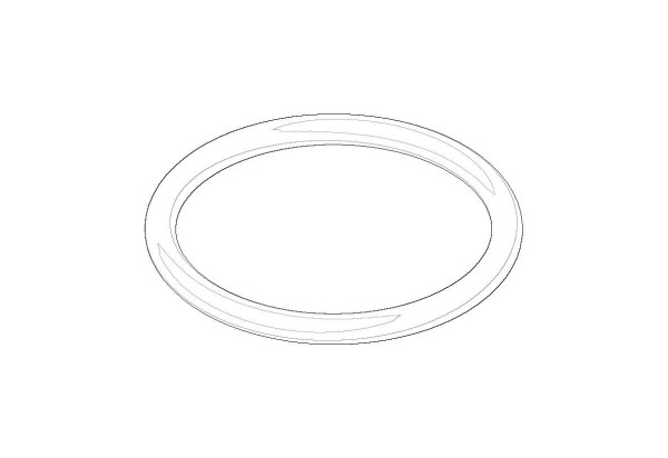 Dornbracht O-Ring Ersatzteile 091410044 24,6 x 2,4 mm