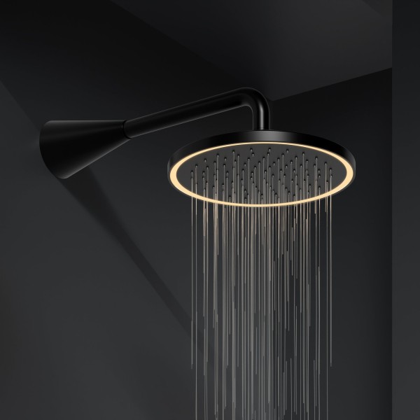 Steinberg Serie 310 Kopfbrause matt black mit LED-Beleuchtung, 310 1686 S