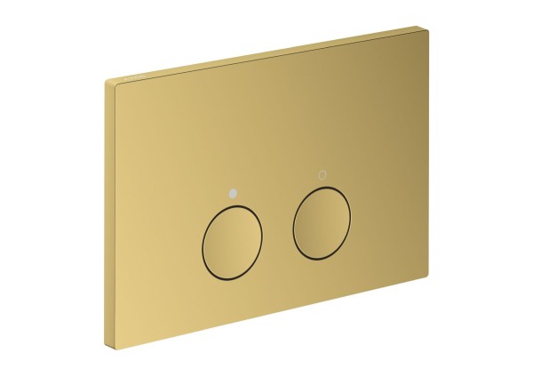 Hansgrohe Drückerplatte Axor FlushPlate für Hansgrohe iFrame Polished Gold Optic,42531990