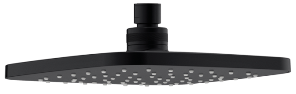Damixa Pine Kopfbrause , schwarz matt, 766626100