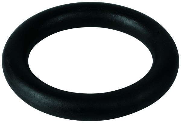 GROHE Dichtung 49021 für WC Kombination , 49021000