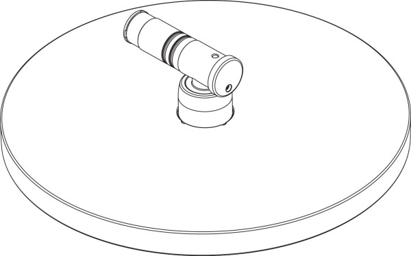 Hansgrohe Kopfbrause Raindance Select S 2jet
