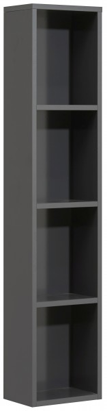 Pelipal Universelle Einzelmöbel Pelipal Wandregal EM-WR20-03-9017, B:900, H:200, T:170mm