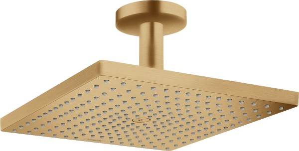 Hansgrohe Handbrause Raindance E 300 1jet PowderRain EcoSmart brushed bronze , 26251140