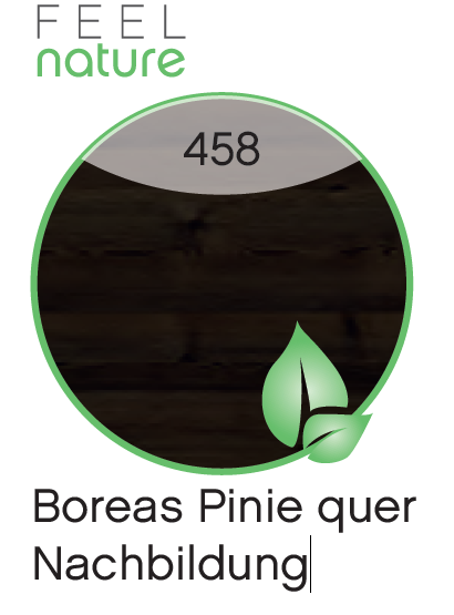 boreas-pinie-querr-nachbildung-458