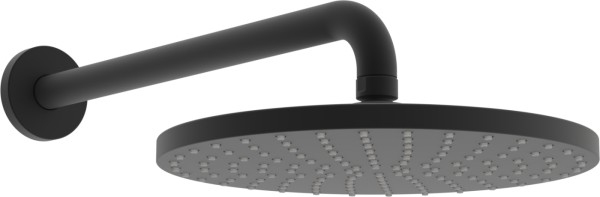 Hansa Kopfbrause, d 250 mm HANSAVIVA 4426, Matt-Schwarz, 4426020033