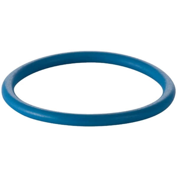 Geberit O-Ring für Duscharm zu AquaClean 8000 / 8000plus