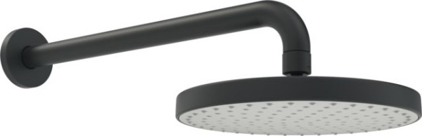 Hansa Kopfbrause HANSABASICJET 4436 1-strahlig d 200 mm L=348 Matt-Schwarz