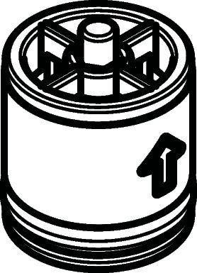 Hansgrohe Rückflussverhinderer DW10 , 96456000