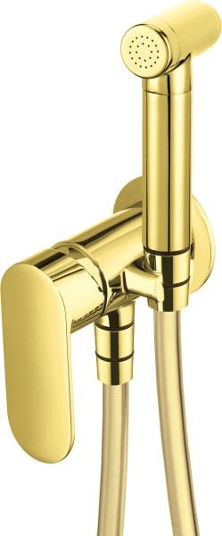 Neuesbad Serie 100 Bidetarmatur, Unterputz, mit Bidet-Handbrause, Oberfläche: gold