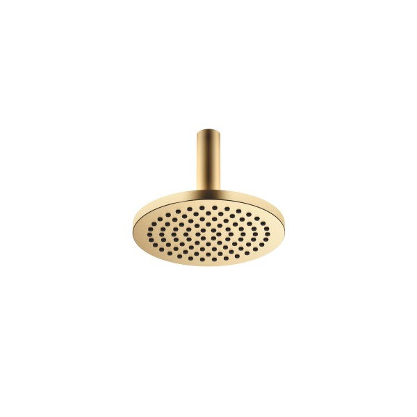 Dornbracht Regenbrause mit Deckenanbindung SERIENSPEZIFISCH 28668970 220 mm Messing gebürstet (23kt
