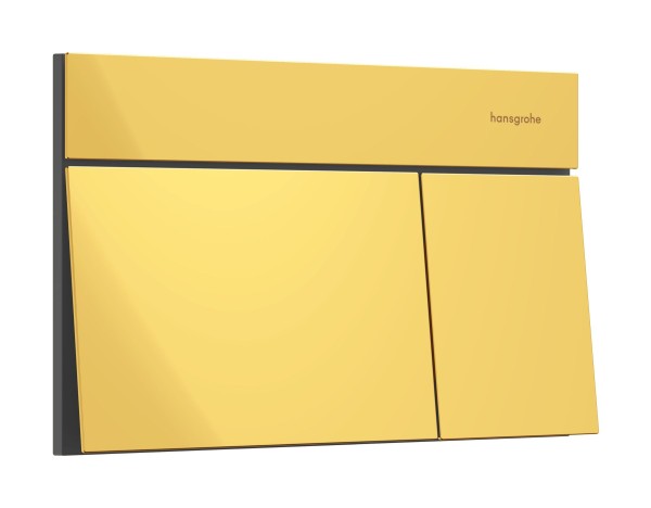 Hansgrohe iFrame Element E Betätigungsplatte für 2-Mengen-Spülung, Polished Gold Optic, 66003990
