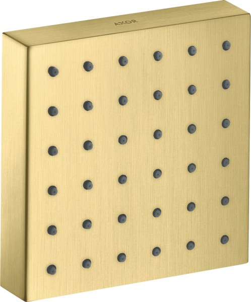 Hansgrohe Brausenmodul Axor Starck Fertigset Brushed Brass