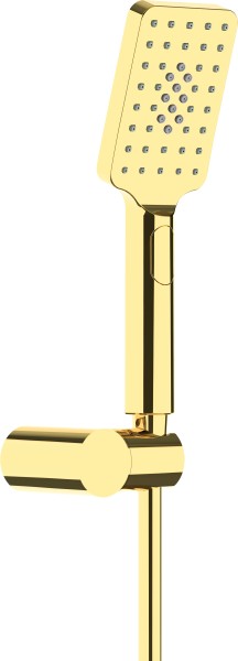 Neuesbad Serie 100 Brauseset, Oberfläche: gold